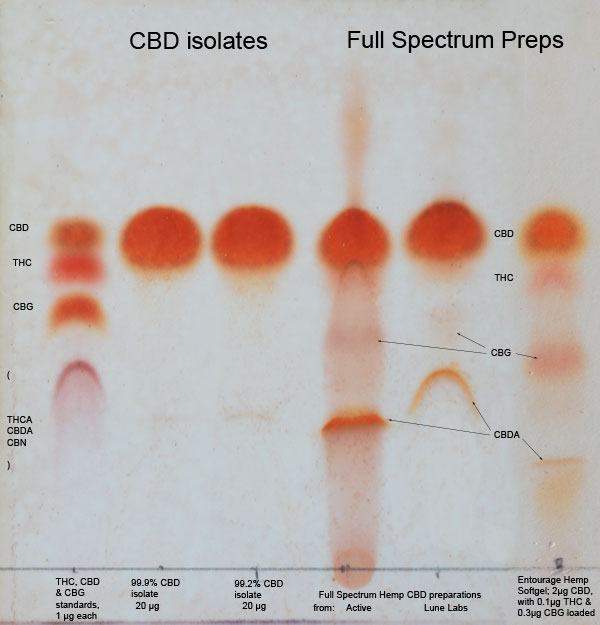 TLC analysis